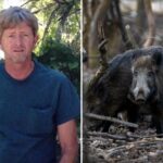 recently-retired-oklahoma-man,-63,-dies-after-driving-into-pack-of-wild-hogs