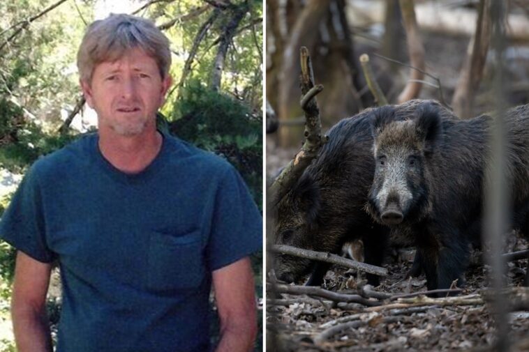 recently-retired-oklahoma-man,-63,-dies-after-driving-into-pack-of-wild-hogs