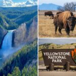 yellowstone-tops-list-of-america’s-most-googled-national-parks-—-as-interest-in-wild-us-surges