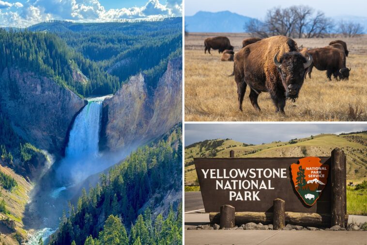 yellowstone-tops-list-of-america’s-most-googled-national-parks-—-as-interest-in-wild-us-surges