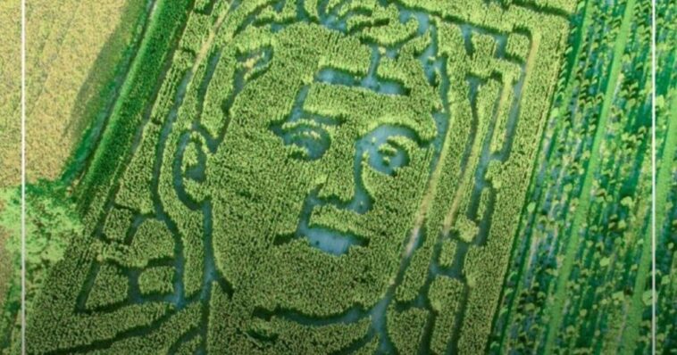 indiana-farm-honors-charlie-kirk-with-corn-maze,-then-gets-review-bombed-by-lunatic-leftists-(video)