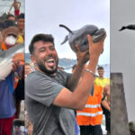 outrage-as-ceuta-migrant-invaders-reportedly-beat-baby-dolphin-to-death-and-parade-it-along-the-beach-(shock-videos)