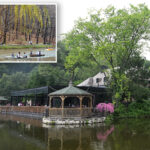 nyc-eatery-spews-raw-sewage-into-park’s-fishing,-boating-lake-—-and-officials-don’t-care:-whistleblower