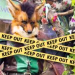 maryland-renaissance-festival-bans-furries,-the-creepy-community-responds-by-calling-dress-code-‘discrimination’