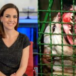 fox-business-star-‘permanently-disfigured’-after-vicious-dog-attack-—-you’ll-never-guess-the-breed