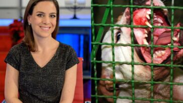 fox-business-star-‘permanently-disfigured’-after-vicious-dog-attack-—-you’ll-never-guess-the-breed