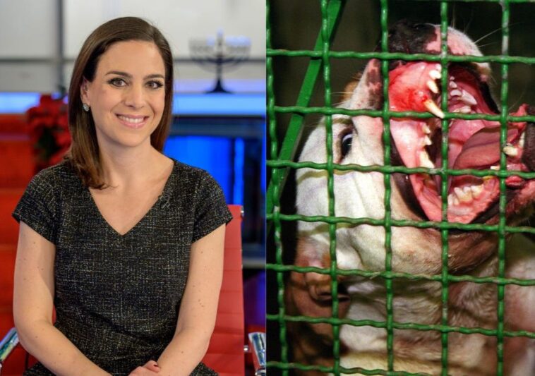 fox-business-star-‘permanently-disfigured’-after-vicious-dog-attack-—-you’ll-never-guess-the-breed