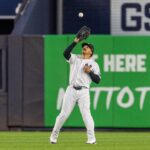 yankees’-trent-grisham-lands-on-injured-list-as-key-question-looms