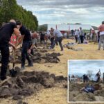 grave-diggers-show-off-their-skills-at-unique-hungarian-competition
