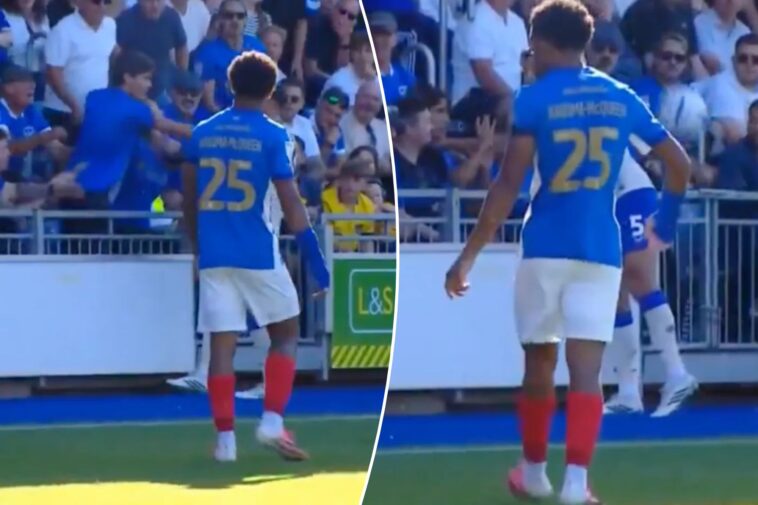 cardiff-city’s-krystian-bielik-appears-to-grab-fan-by-throat-in-bizarre-scene