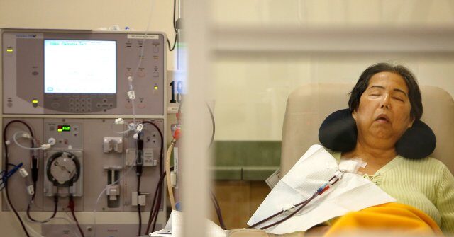medical-first:-man-lives-for-9-months-with-pig-kidney-while-waiting-for-human-donor