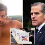 hunter-biden-announces-he-‘may-have-to’-run-for-president-during-radio-interview