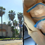 california-pizza-joint-allegedly-used-as-meth-distribution-hub-as-illegal-immigrant-charged
