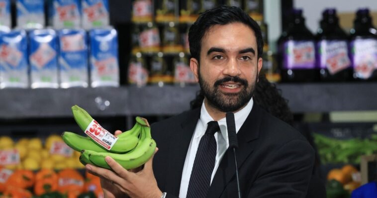 mamdani-taken-to-court-by-immigrant-businesses-over-city-run-grocery-store-scheme