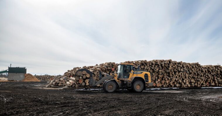 canada-talked-tough-with-trump:-now-job-losses-hit-42k-as-tariffs-are-set-to-hit-harder