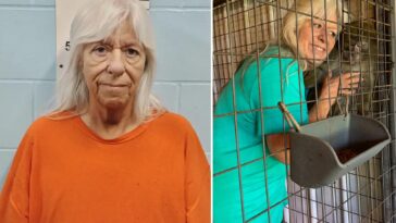 missouri-foster-mom-accused-of-trading-teen-for-monkey-avoids-prison