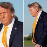 president-trump-debuts-new-brown-hairdo-—-and-people-are-shocked