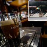 british-police-on-the-hunt-for-70k-pints-of-guinness-stout-stolen-in-dead-of-night
