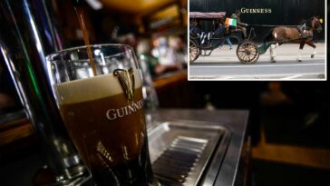 british-police-on-the-hunt-for-70k-pints-of-guinness-stout-stolen-in-dead-of-night