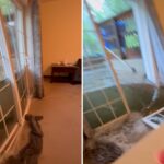 dramatic-video-captures-floodwaters-bursting-through-glass-doors-of-college-students’-home