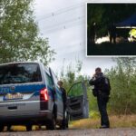 german-authorities-unearth-21-explosives-after-electricity-grid-attack