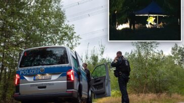german-authorities-unearth-21-explosives-after-electricity-grid-attack