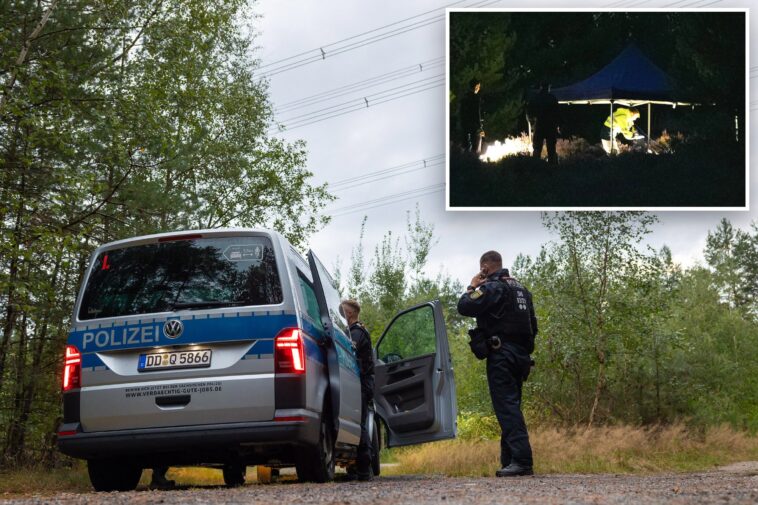 german-authorities-unearth-21-explosives-after-electricity-grid-attack