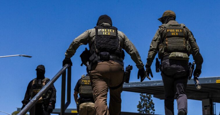 wife-of-democratic-mayor-injured-by-illegal-alien-fleeing-ice