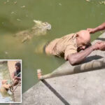 chilling-video-shows-crocodile-chomp-handler’s-legs-as-he-desperately-fights-for-life:-‘he-couldn’t-scream’