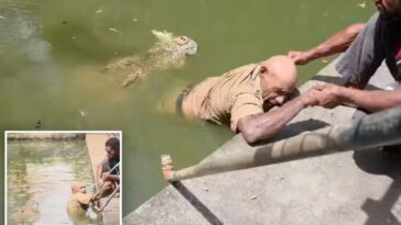 chilling-video-shows-crocodile-chomp-handler’s-legs-as-he-desperately-fights-for-life:-‘he-couldn’t-scream’