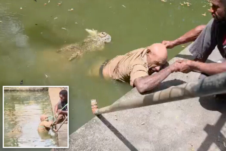 chilling-video-shows-crocodile-chomp-handler’s-legs-as-he-desperately-fights-for-life:-‘he-couldn’t-scream’