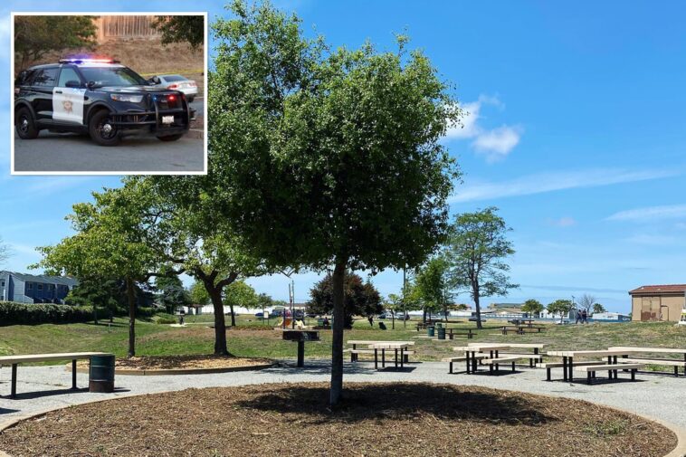 mass-stabbing-sparks-horror-at-california-park-as-multiple-people-rushed-to-hospital,-one-critical