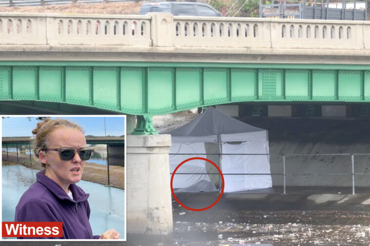 horror-discovery-in-creek-near-ritzy-california-beach-town