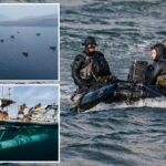 us-navy-seals-spent-four-months-demining-the-strait-of-hormuz-in-dangerous,-nighttime-mission
