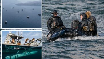 us-navy-seals-spent-four-months-demining-the-strait-of-hormuz-in-dangerous,-nighttime-mission