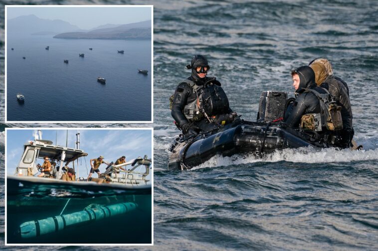 us-navy-seals-spent-four-months-demining-the-strait-of-hormuz-in-dangerous,-nighttime-mission