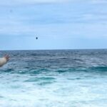 video:-hawaii-residents-brace-for-impact-as-hurricane-lowell-nears