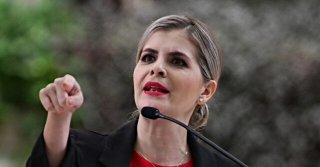 costa-rica-president-fernandez-says-us.-ground-forces-would-help-national-security