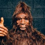 police-determine-that-a-maine-bigfoot-was-actually-man-in-a-‘very-convincing-costume’