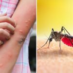 dangerous-mosquito-borne-virus-spreads-in-florida-as-officials-warn-of-rising-cases