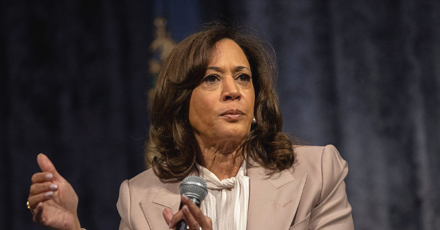kamala-harris-responds-to-attack-on-ohio-democrat-amy-acton:-‘political-violence-has-no-place-in-our-nation’