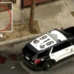 man-shot-dead-by-police-after-charging-officers-with-tree-trimmer-on-la-street