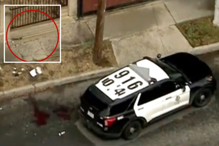 man-shot-dead-by-police-after-charging-officers-with-tree-trimmer-on-la-street