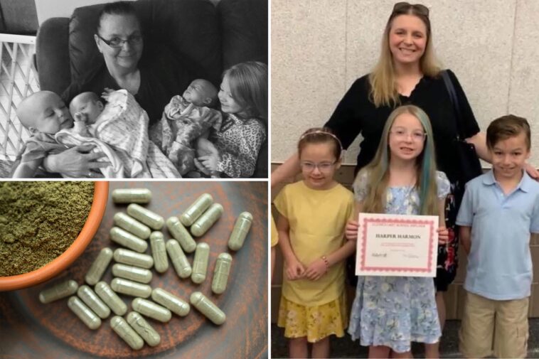 four-ny-kids-killed-in-grandma,-mom’s-murder-suicide-were-poisoned-with-allergy-meds,-kratom:-report