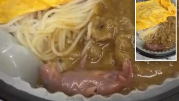horrified-diner-discovers-newborn-rat-squirming-in-takeout-meal