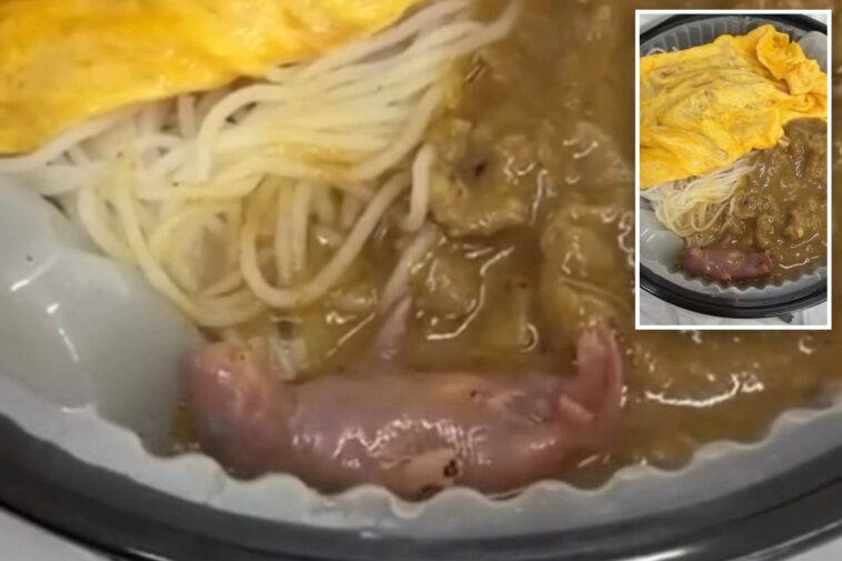 horrified-diner-discovers-newborn-rat-squirming-in-takeout-meal
