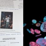 8th-grade-dropout-accused-of-blowing-$240m-bitcoin-haul-on-ferraris-and-$4m-club-nights