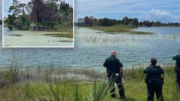 child-rushed-to-hospital-after-being-savagely-attacked-by-alligator-in-florida-on-labor-day