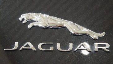 woke-disaster:-jaguar-to-slash-10%-of-workforce-as-company-attempts-a-turnaround-after-ridiculous-attempt-at-a-woke-‘rebrand’