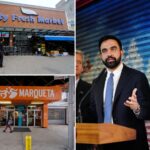 mamdani-faces-new-lawsuit-over-nyc-run-grocery-stores-alleging-unfair-competition